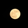 Strawberry Moon