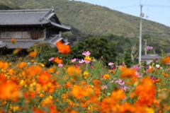 秋景色・・・