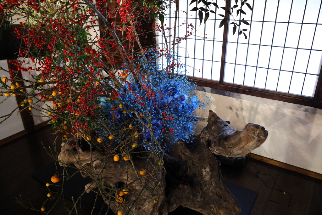 時を忘れて美に酔う・・・