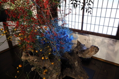 時を忘れて美に酔う・・・