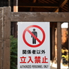 お散歩写真・・・②