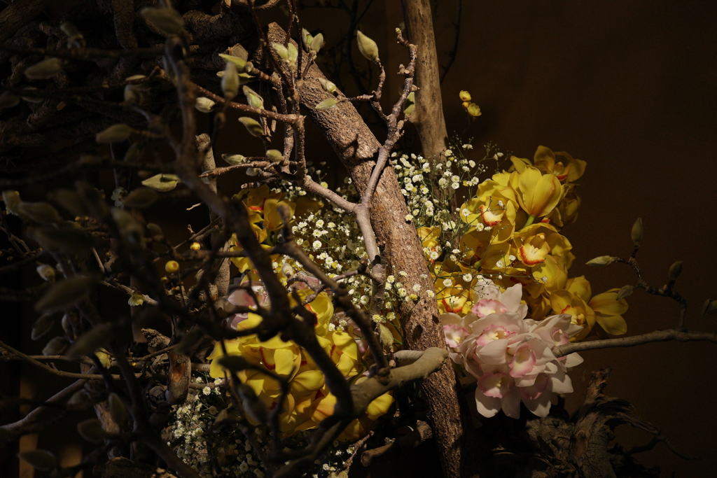 スポットライトに浮かぶ・・・