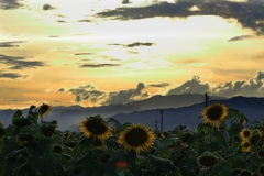 夕焼け・・・