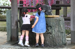 姉妹