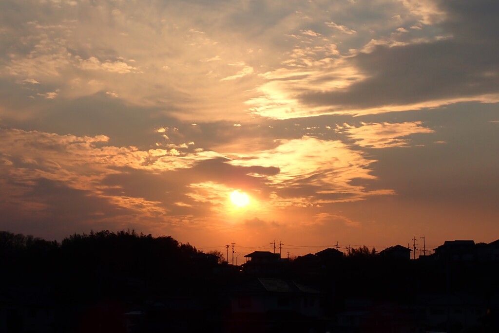 今日は暖かくて気持ちよかったぁ・・・