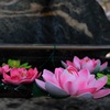 花手水・・・