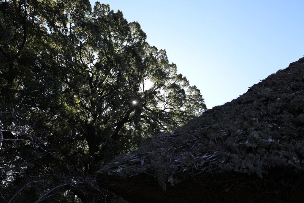 藁ぶき屋根と冬の日差し・・・
