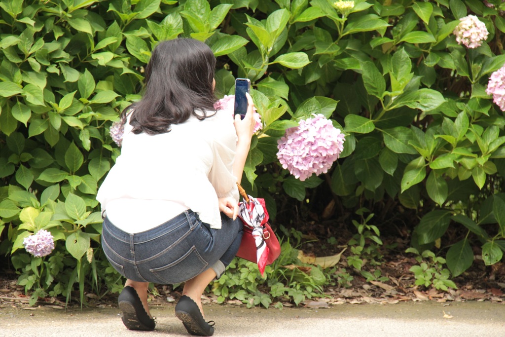 ハイ、チーズ！