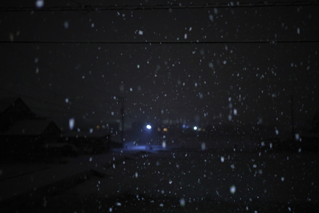 星降る田舎道・・・