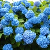 豪華に・・・
