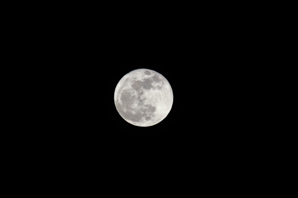 Pink Moon・・・