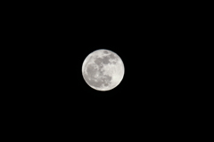 Pink Moon・・・
