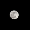 Pink Moon・・・