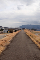 雨上がりの散歩道・・・