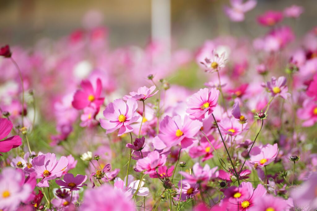 揺れないでねぇ・・・