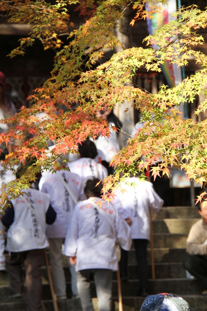 紅葉とお遍路さん