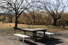 冬の昼下がり・・・