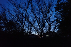 夕闇迫る頃・・・