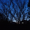 夕闇迫る頃・・・