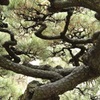 存在感・・・