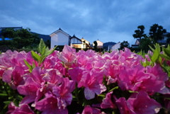 夕暮れ時・・・②