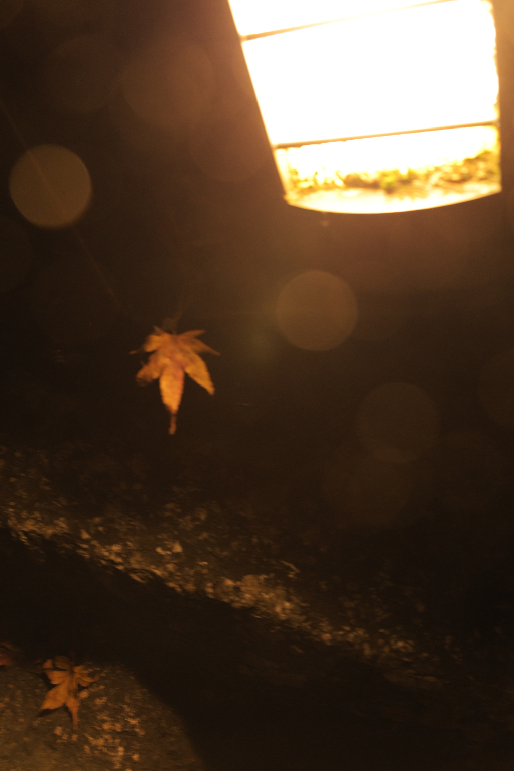 有名な観光地で誰にも見られず・・・