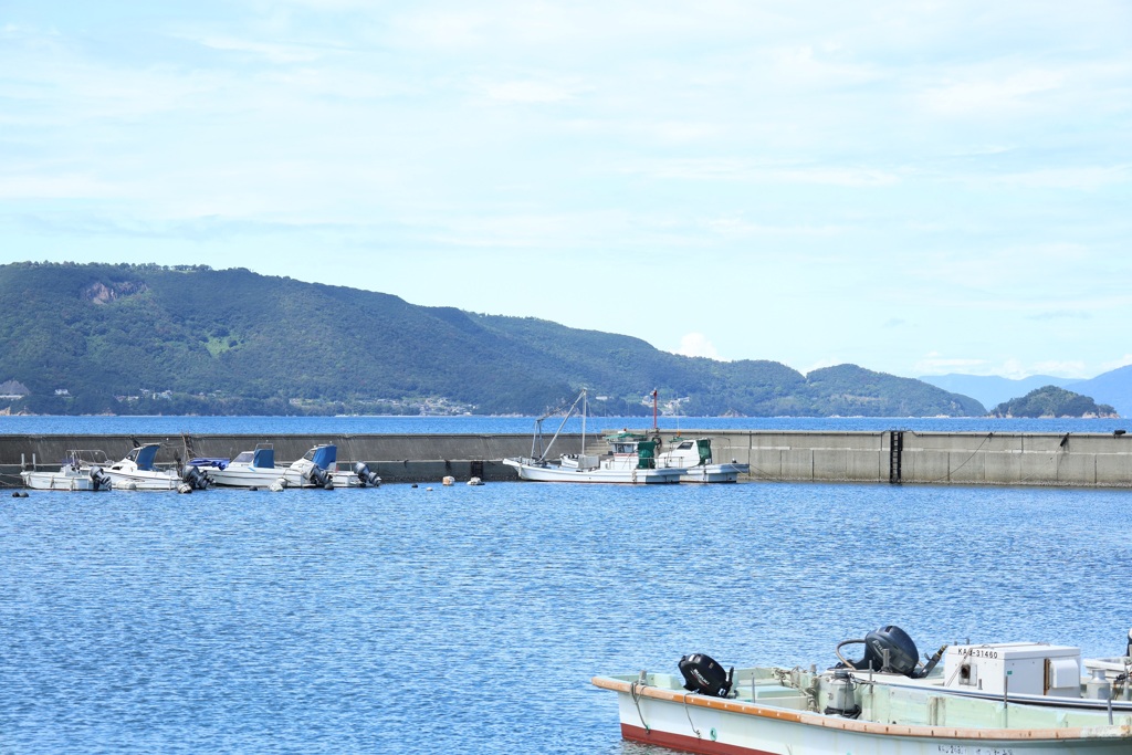 漁港の風景・・・
