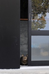 遊びに行きたいけど・・・