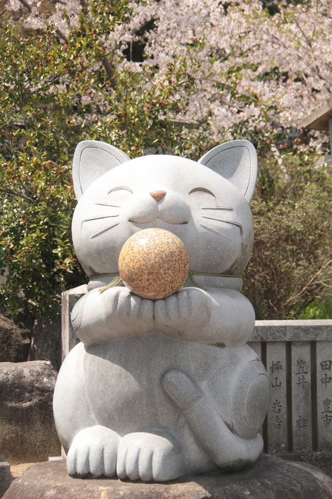 ねこ様