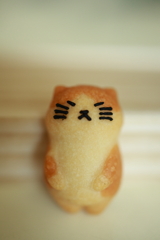 猫クッキー・・・②