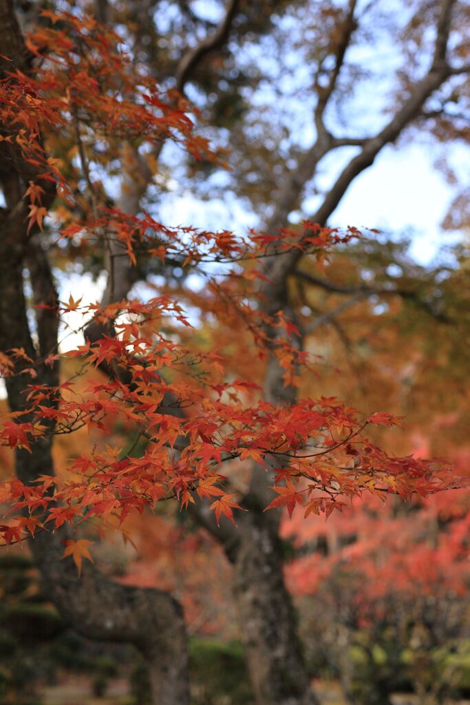 静かな秋・・・