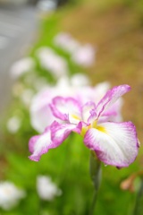 雨の日・・・