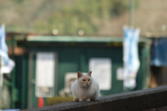 日陰は冷えるわぁ・・・