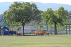 爽やかな朝・・・