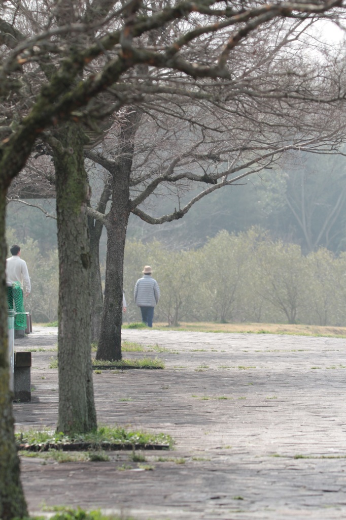 雨上がりの午後