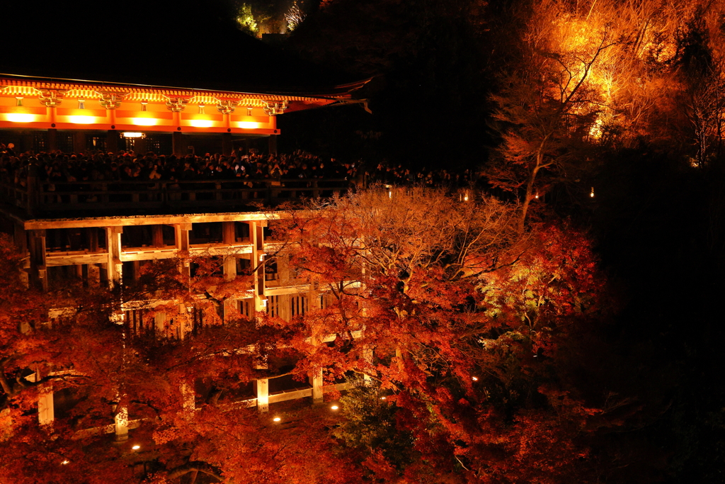 ここからは飛び降りられない・・・