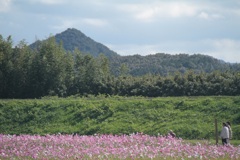 秋の風景