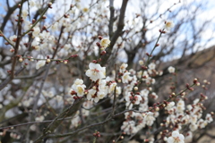 寒さに耐えながら・・・