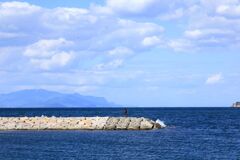 blue・・・ blue・・・