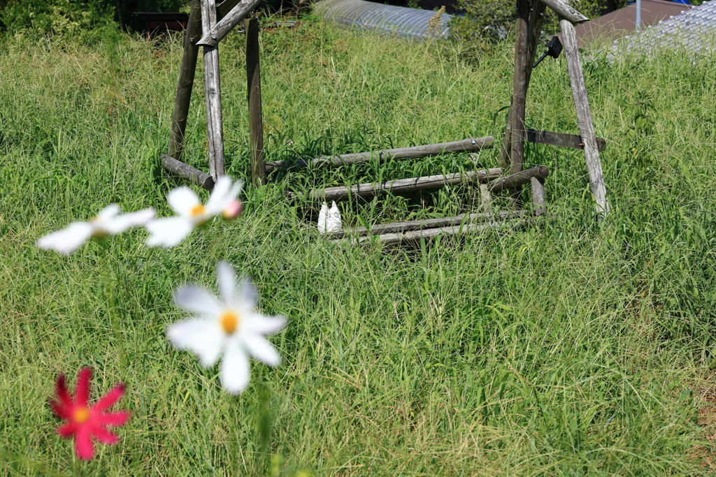 この辺りに住んでるのかなぁ・・・