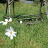 この辺りに住んでるのかなぁ・・・
