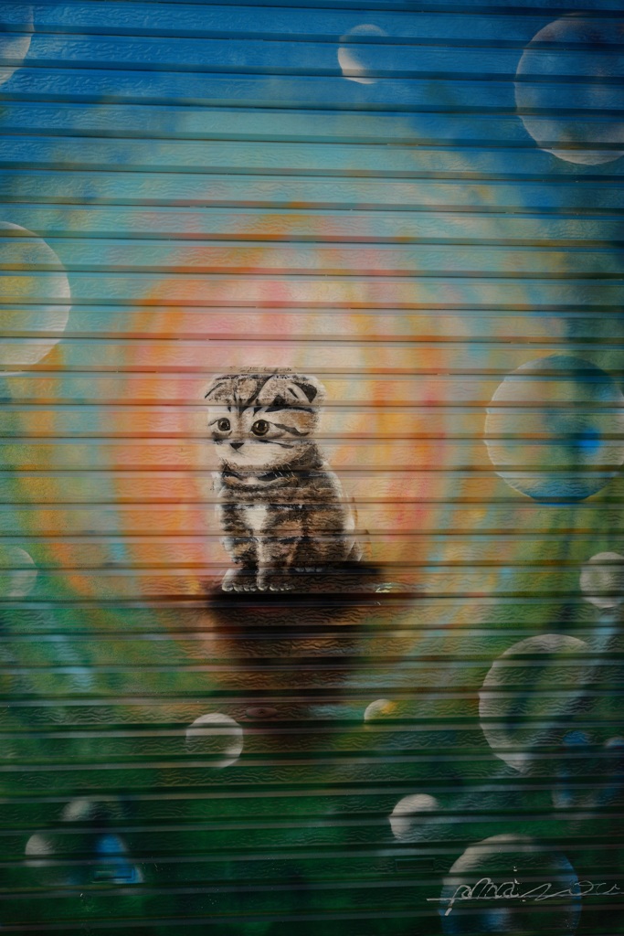 Wallart　“ねこ”