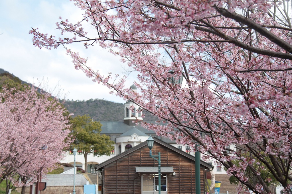 Spring has come