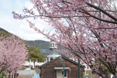Spring has come