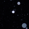 夜の雪・・・