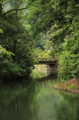 深緑の中に浮かぶ橋