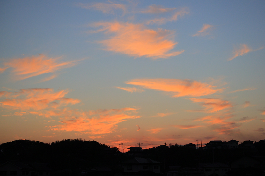 昼と夜の境界・・・