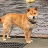 カメラ目線②