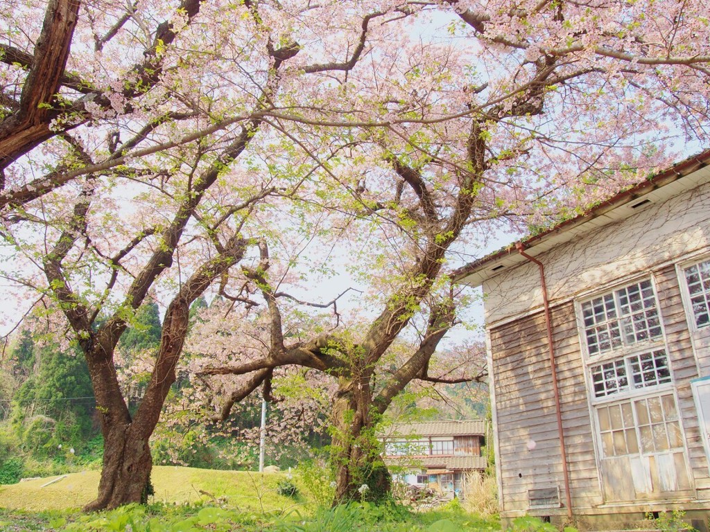 やさしい