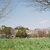 75840015
